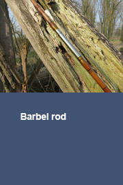 Barbel rod (report 5)