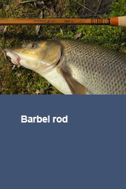 Barbel rod (report 5)