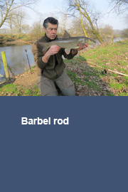 Barbel rod (report 5)